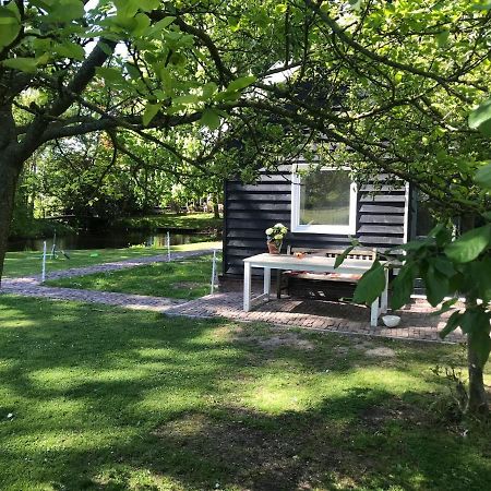 Ijsselmeer Lake Houses Andijk Εξωτερικό φωτογραφία