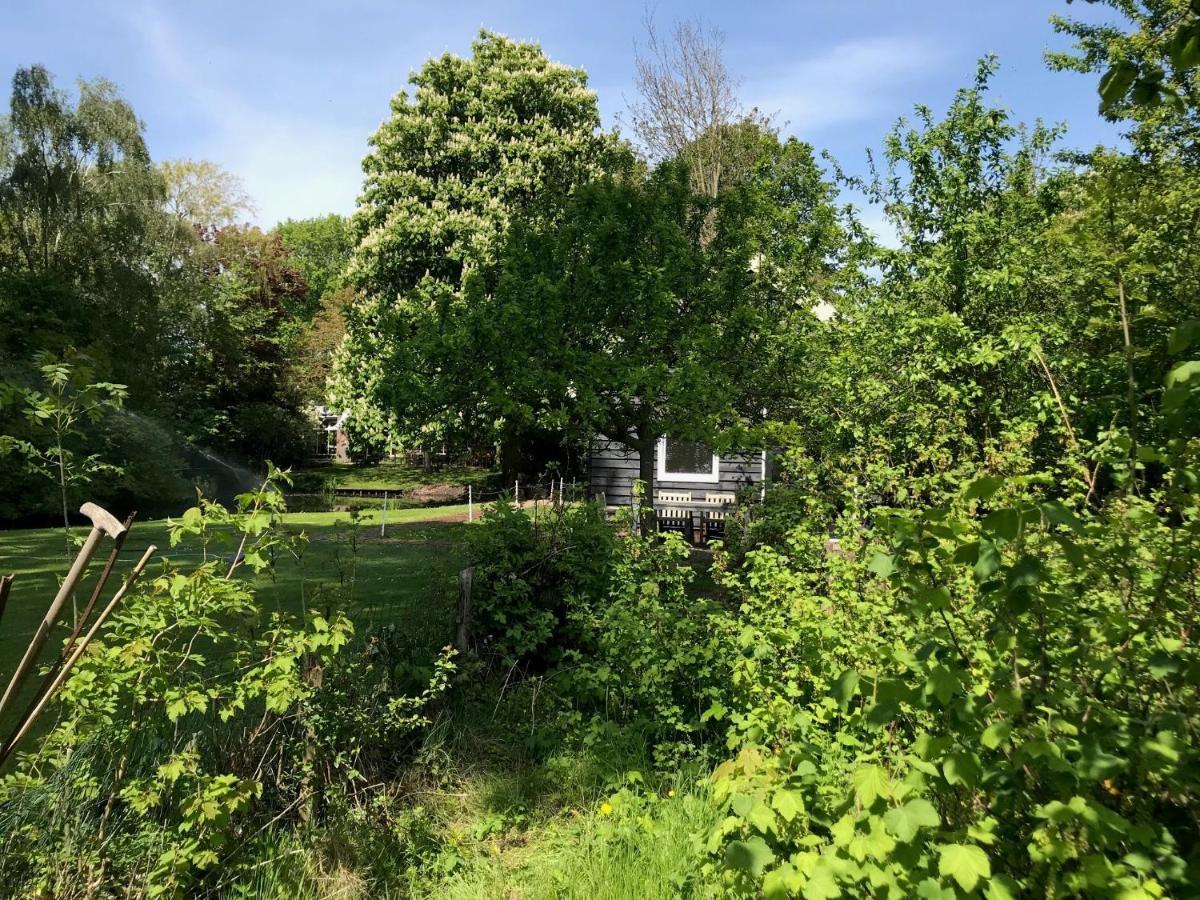 Ijsselmeer Lake Houses Andijk Εξωτερικό φωτογραφία